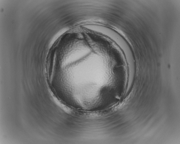 X0000074021042200609111644