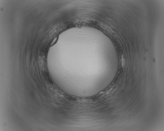 X0000074021059200609111643