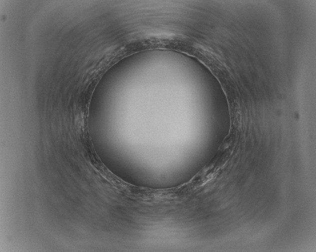 X0000074021061200609111643
