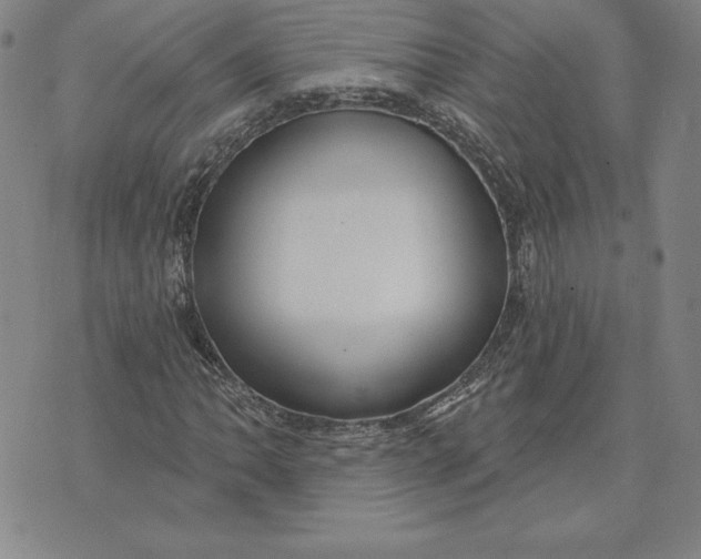 X0000074021062200609111643