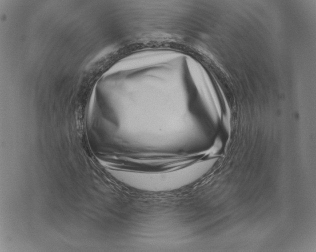 X0000074021063200609111643