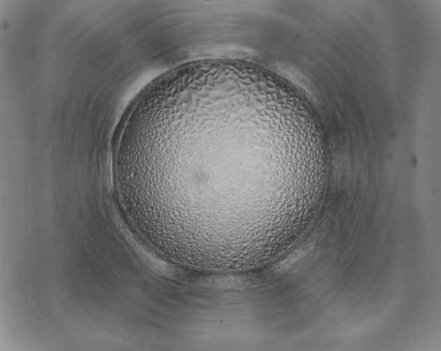 X0000074021079200609111643