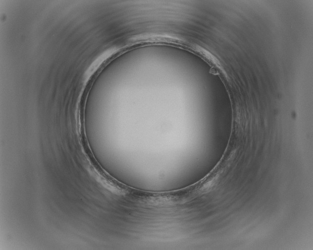 X0000074021082200609111643