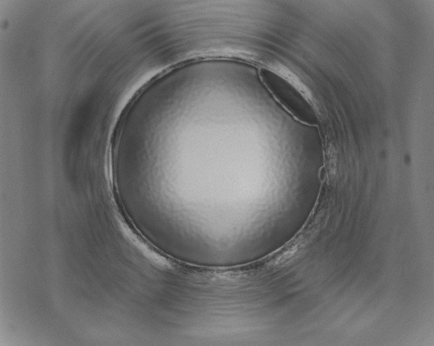 X0000074021084200609111643