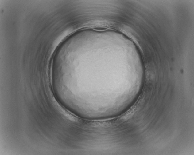 X0000074021091200609111642