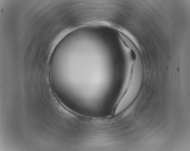 X0000074021102200609111642