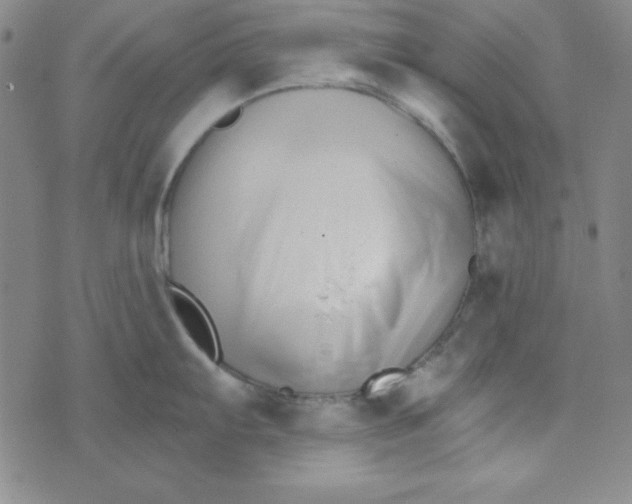 X0000074021103200609111642