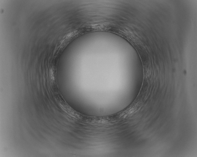 X0000074021106200609111641