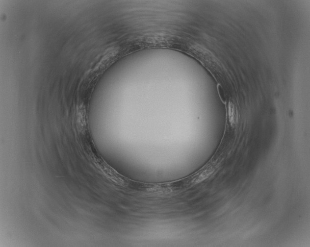 X0000074021107200609111641