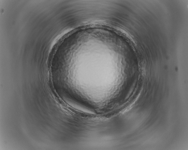 X0000074021117200609111642