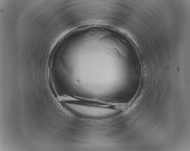 X0000074021125200609111642