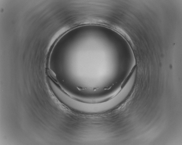 X0000074021138200609111642