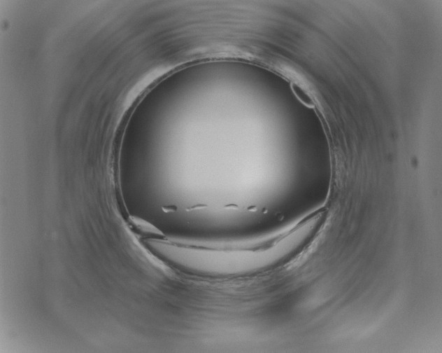 X0000074021141200609111642