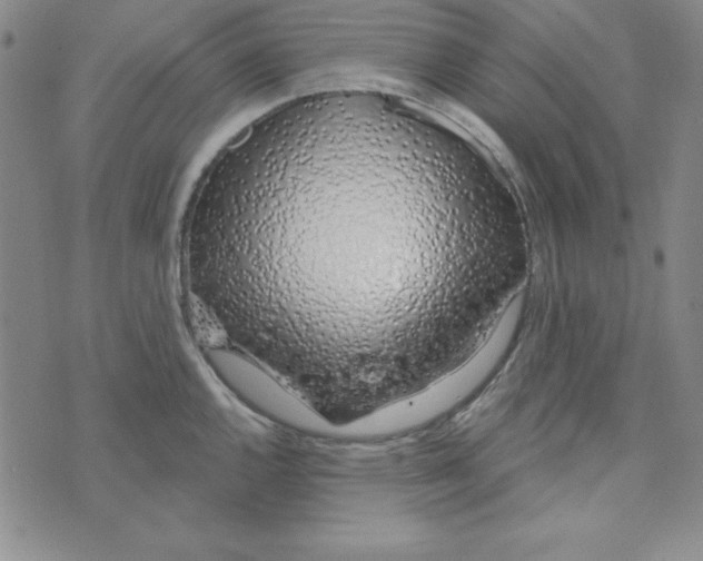 X0000074021144200609111642