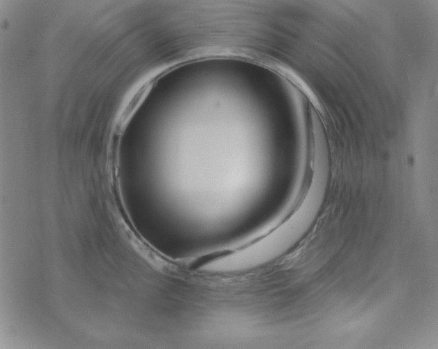 X0000074021148200609111642