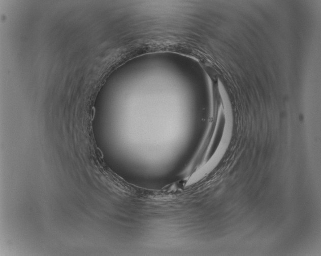 X0000074021153200609111641