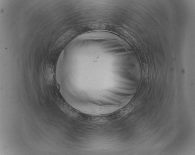 X0000074021154200609111641