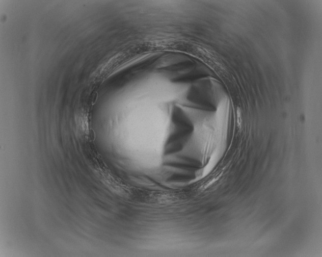 X0000074021155200609111641