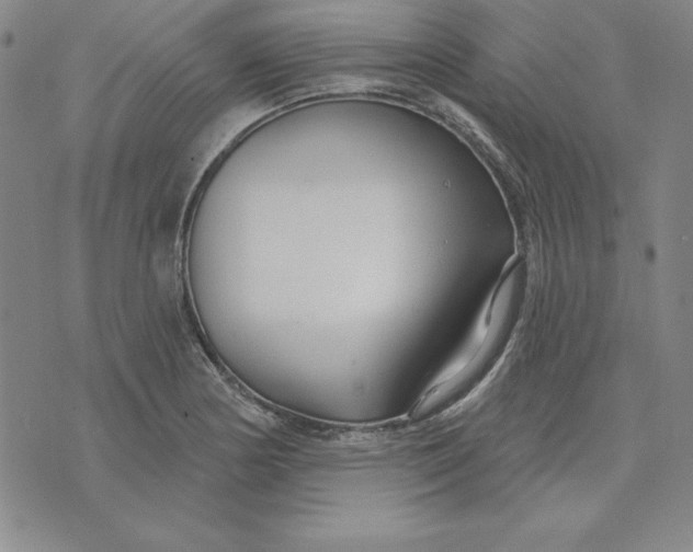 X0000074021178200609111641