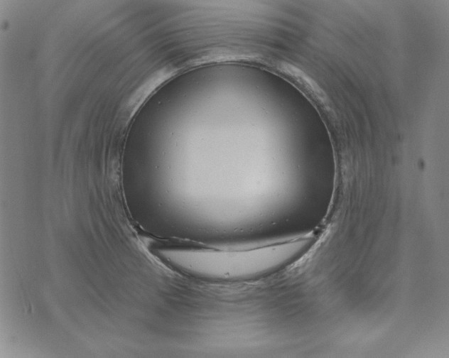 X0000074021185200609111641