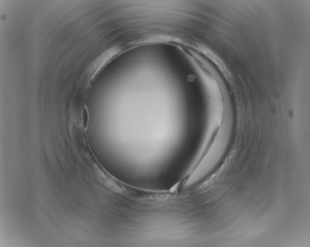 X0000074021193200609111641