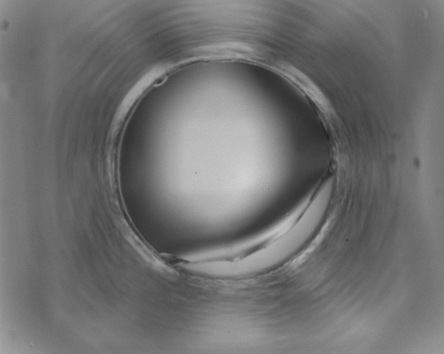 X0000074021196200609111641
