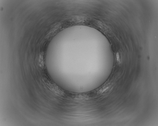 X0000074021203200609111640