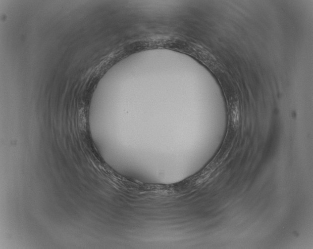 X0000074021204200609111640