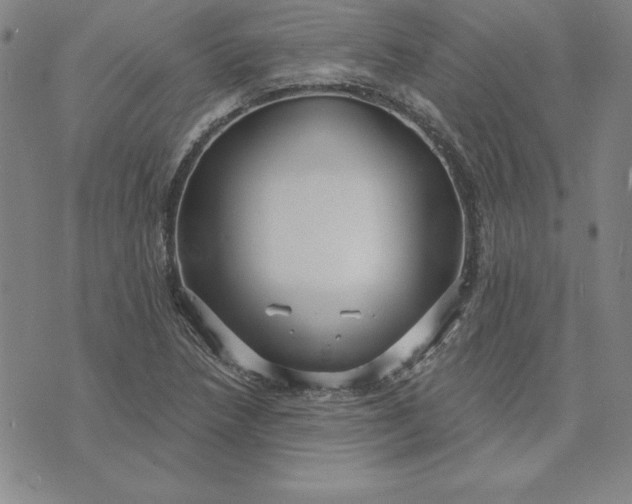 X0000074021218200609111640