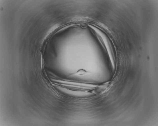 X0000074021219200609111640