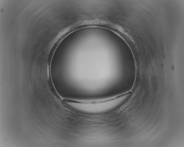 X0000074021221200609111640