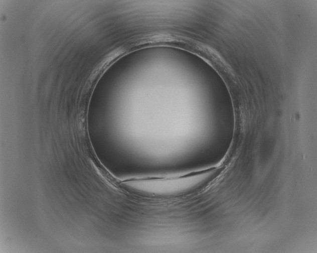X0000074021225200609111640
