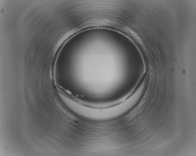 X0000074021226200609111640