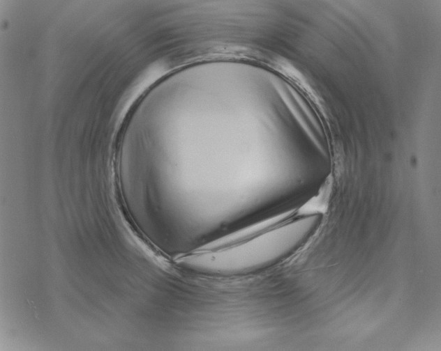 X0000074021235200609111640