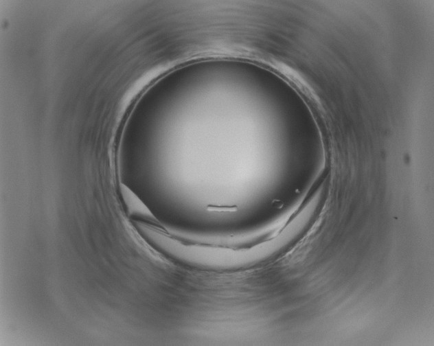 X0000074021238200609111641