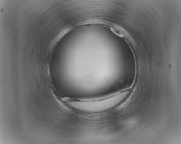 X0000074021241200609111641