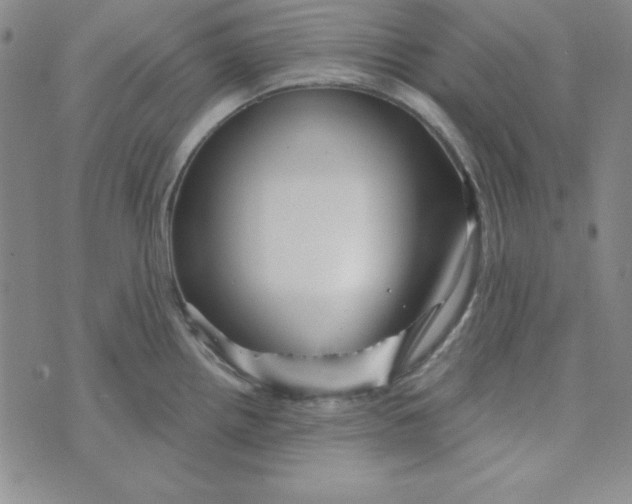 X0000074021242200609111641