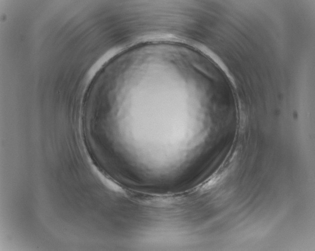 X0000074021245200609111641