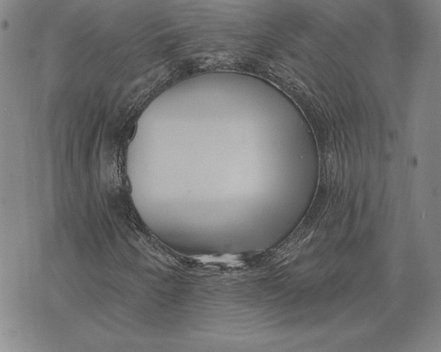 X0000074021250200609111640