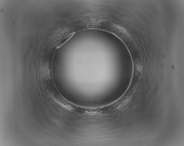 X0000074021252200609111640