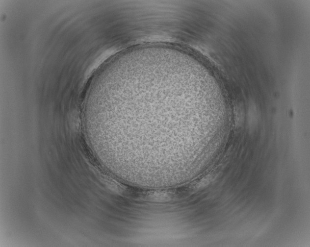 X0000074021266200609111640