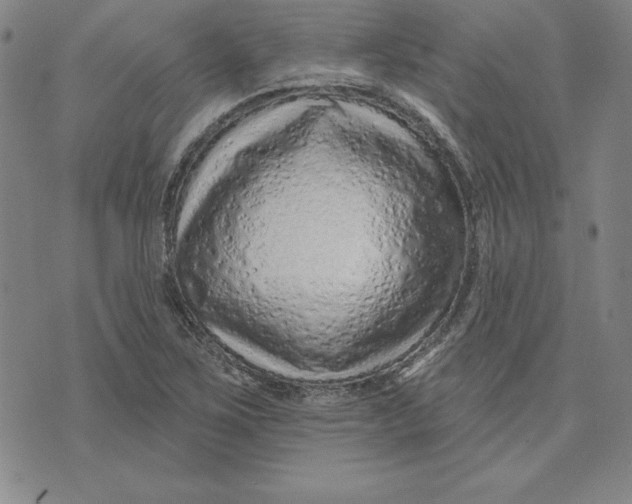 X0000074021267200609111640
