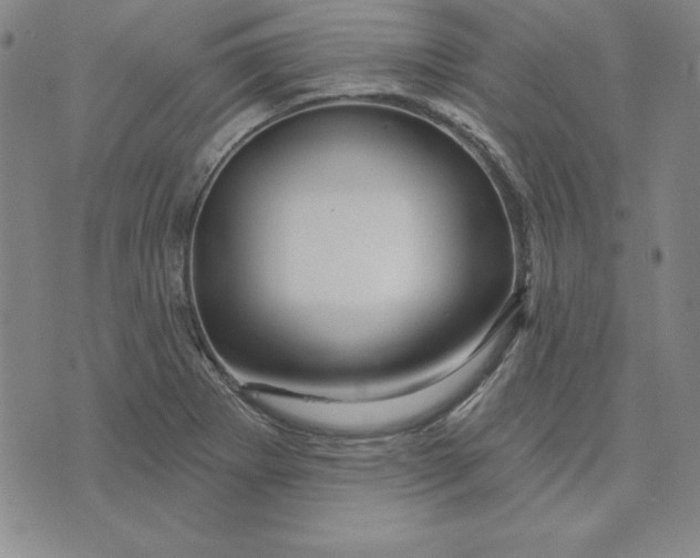 X0000074021273200609111640