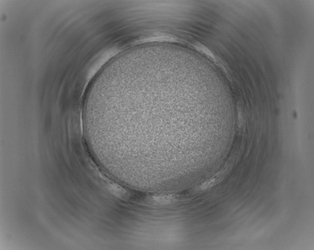 X0000074021274200609111639