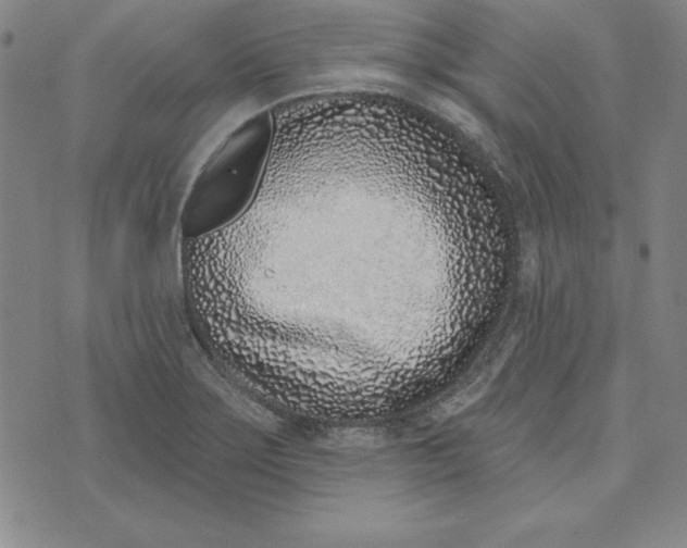 X0000074021275200609111639
