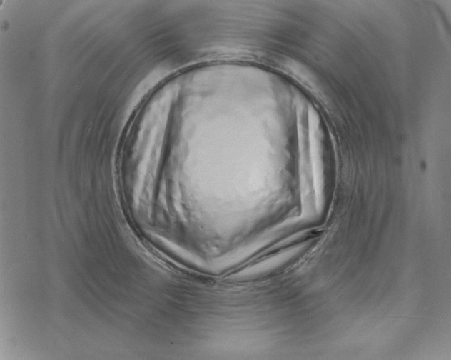 X0000074021283200609111639