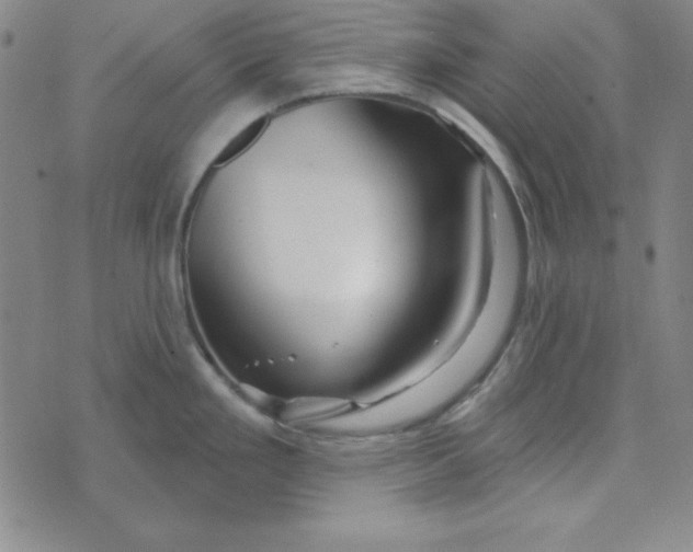X0000074021293200609111639
