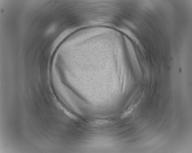 X0000074021294200609111639