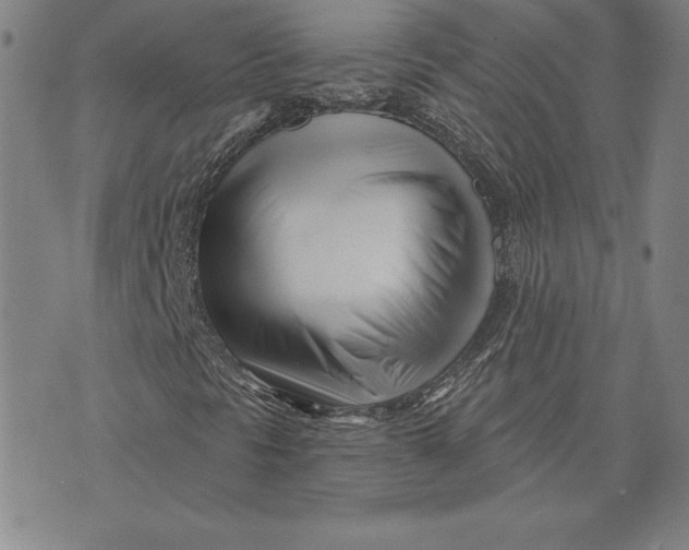 X0000074021297200609111638
