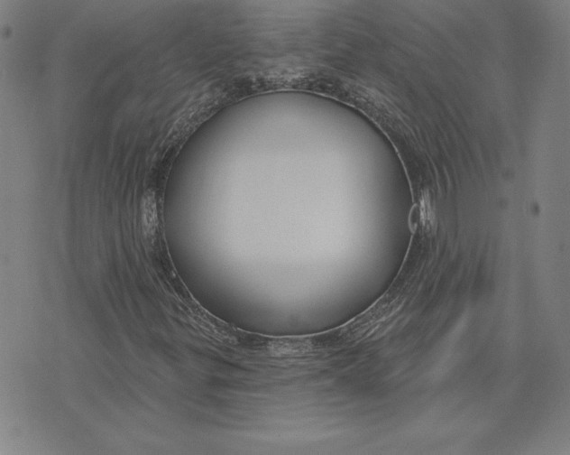 X0000074021299200609111638